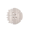 Sand Dollar | Large | Flat Shape Hair Clip