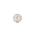 Sand Dollar | Tiny | Flat Shape Hair Clip