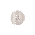 Sand Dollar | Medium | Flat Shape Hair Clip