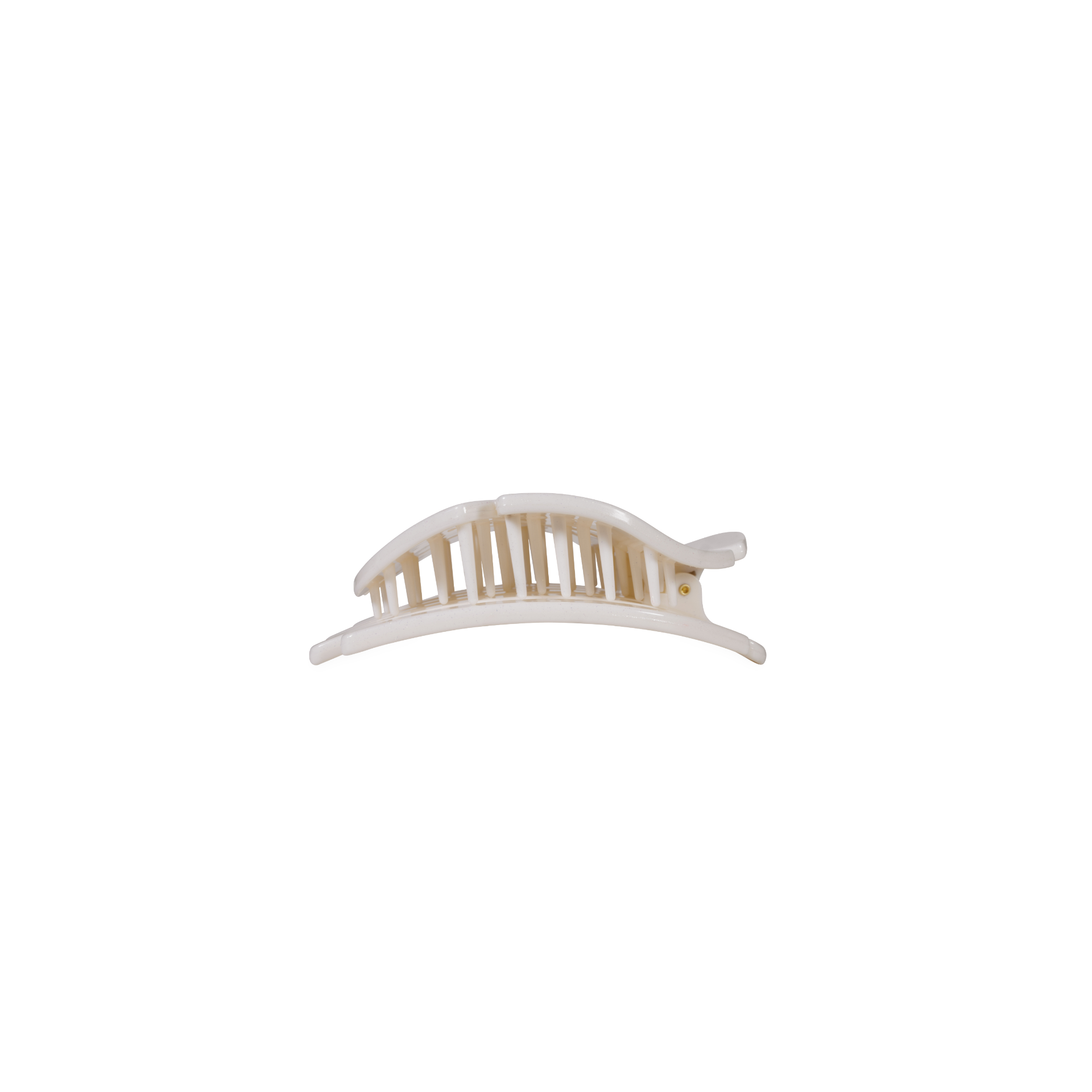Sand Dollar | Tiny | Flat Shape Hair Clip