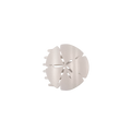 Sand Dollar | Small | Flat Shape Hair Clip